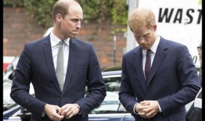 Harry e William - Solonotizie24